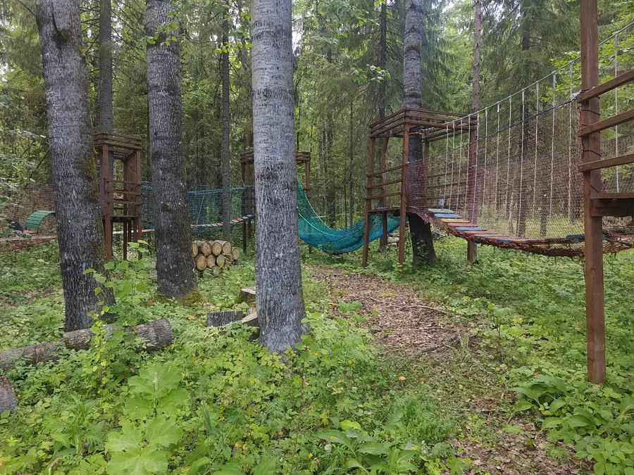 Пейнтбольная площадка в сосновом лесу с верёвочными укрытиями
